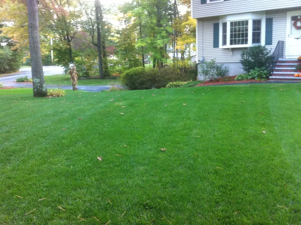 Affordable landscape design in Raynham, MA by Lawn Dawg