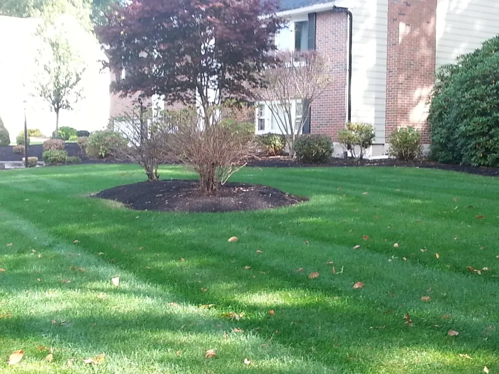 Local yard maintenance in Raynham, MA by Lawn Dawg