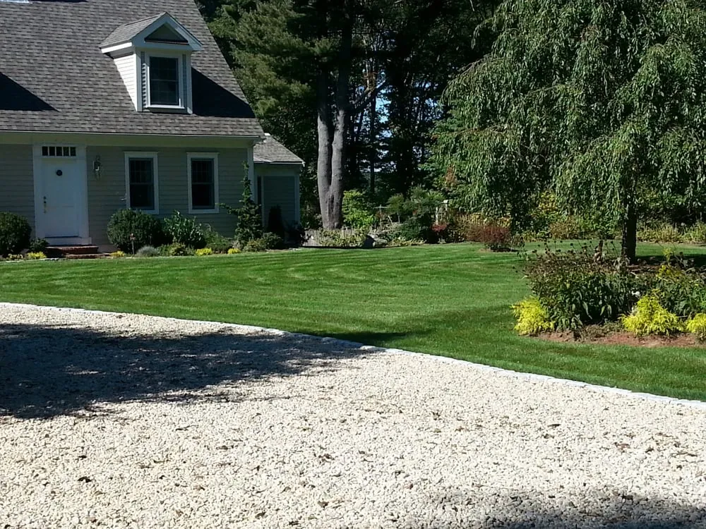 Expert yard cleanup service experts serving Raynham, MA - Lawn Dawg