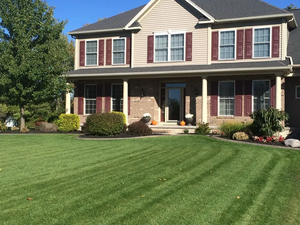 Expert yard maintenance for outdoor upgrades in Rochester, NY by Lawn Dawg