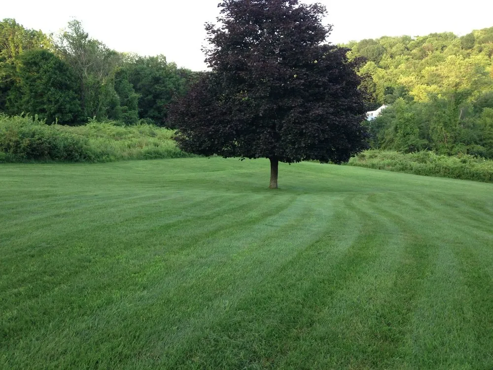 Local lawn care service for homes across Rochester, NY - Lawn Dawg