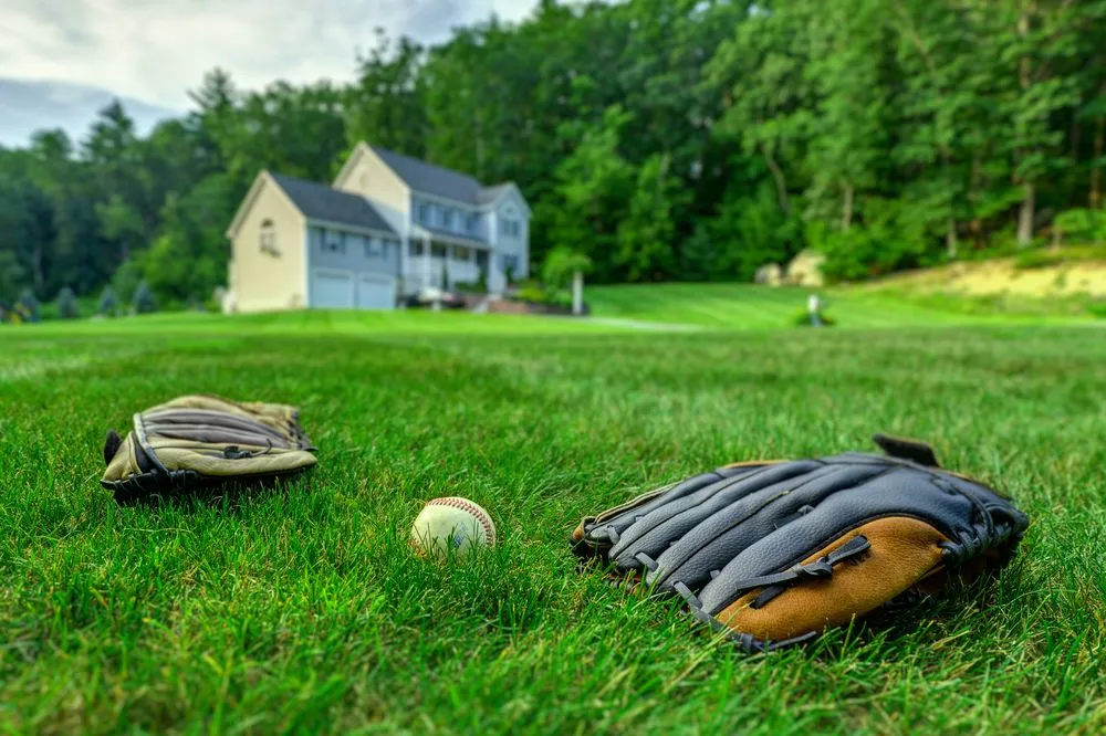 Expert landscape design for outdoor upgrades in Rochester, NY by Lawn Dawg