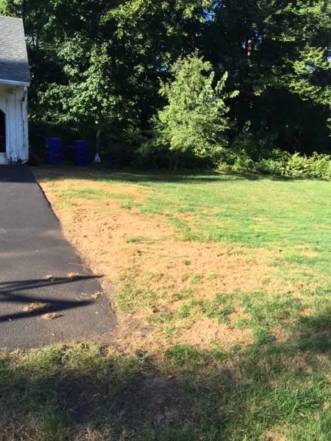 Affordable garden landscaping in Rocky Hill, CT by Lawn Dawg