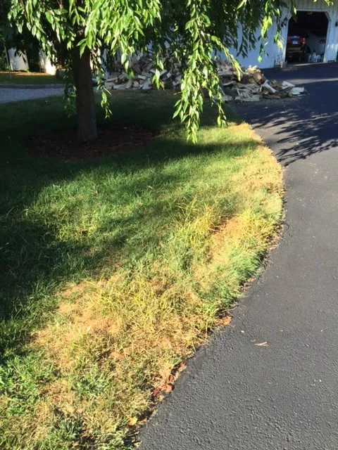 Top-rated garden landscaping for beautiful yards in Rocky Hill, CT by Lawn Dawg