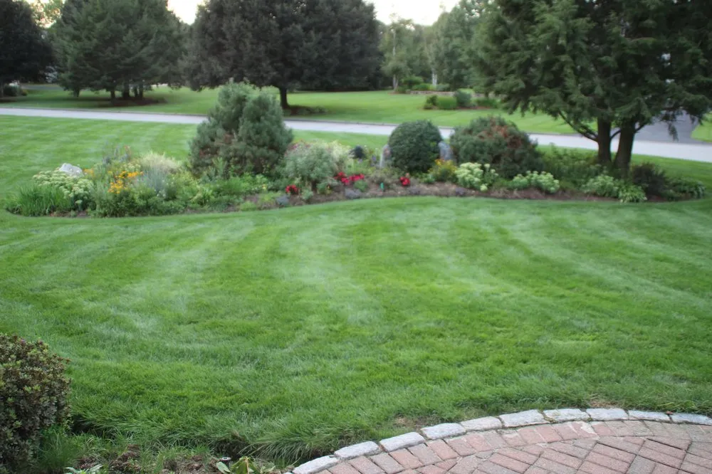 Top-rated lawn mowing service in Rocky Hill, CT - Lawn Dawg