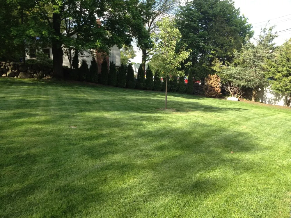 Trusted landscaping services in Rocky Hill, CT by Lawn Dawg