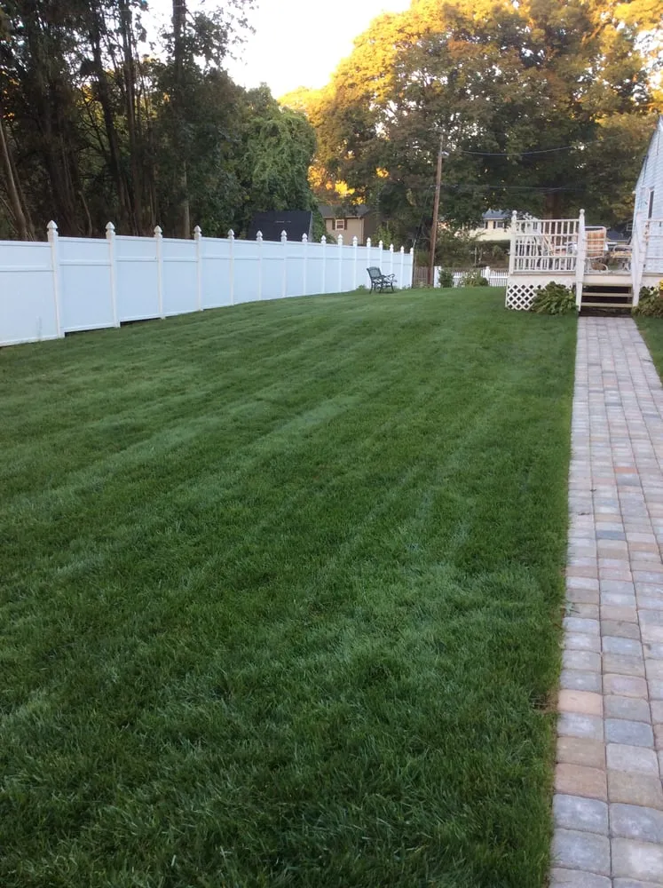 Expert lawn care service for beautiful yards across Rocky Hill, CT - Lawn Dawg