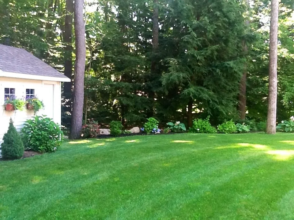 Reliable lawn care service in Rocky Hill, CT by Lawn Dawg
