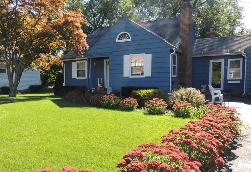 Professional yard cleanup service in Rocky Hill, CT - Lawn Dawg