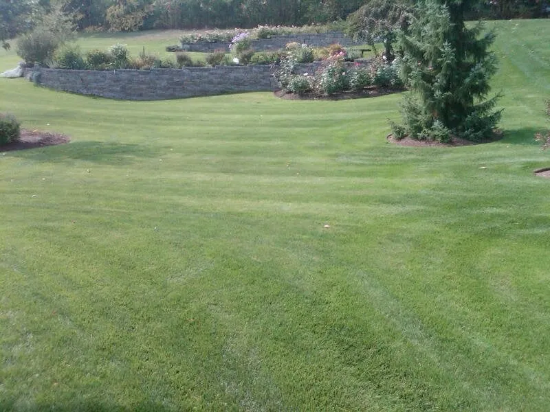 Affordable yard maintenance in Woburn, MA - Lawn Dawg