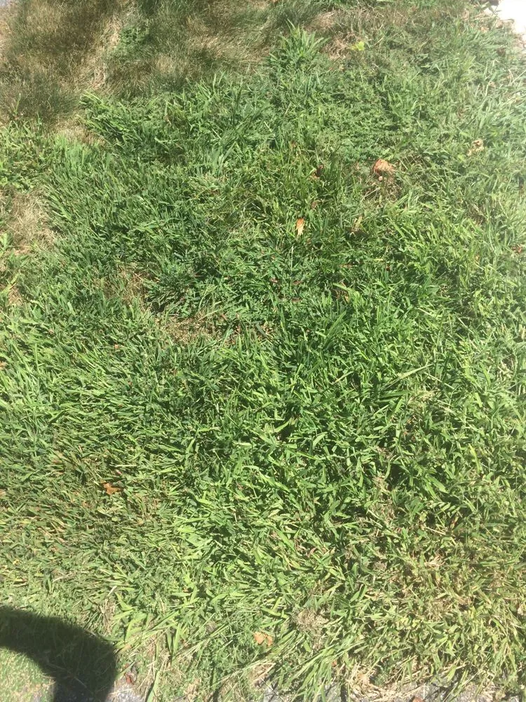 Professional landscape design experts serving Woburn, MA - Lawn Dawg