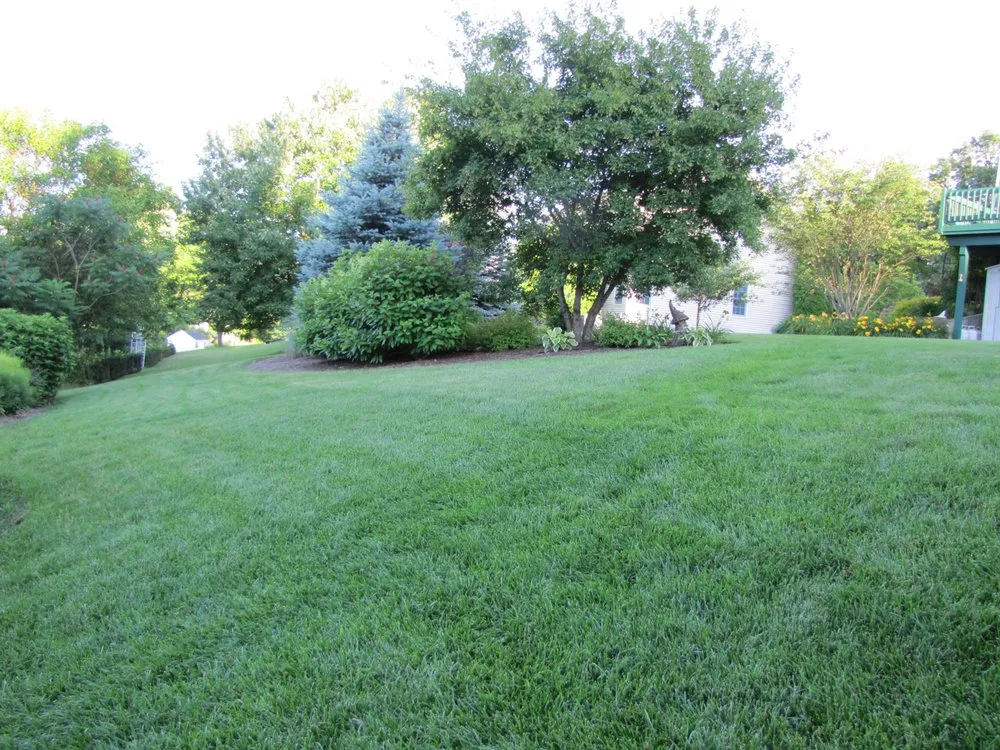 Local landscape installation near you in Woburn, MA by Lawn Dawg