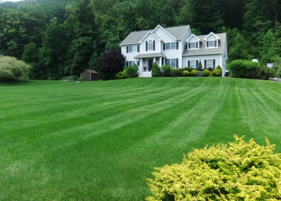 Professional yard maintenance in Woburn, MA - Lawn Dawg