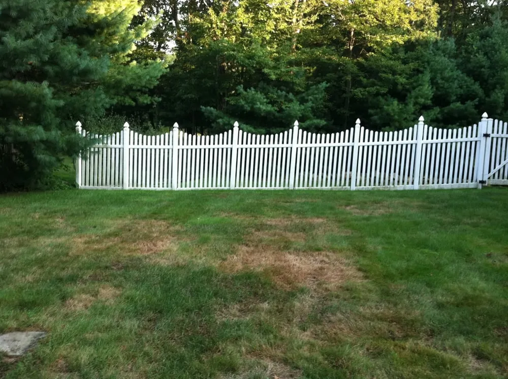 Professional yard cleanup service in Woburn, MA by Lawn Dawg