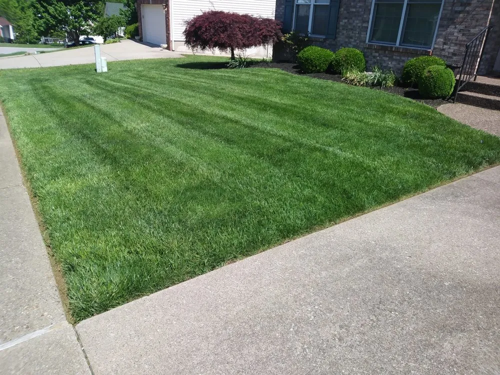 Top-rated outdoor landscaping experts serving Louisville, KY - Lawn Dawgs
