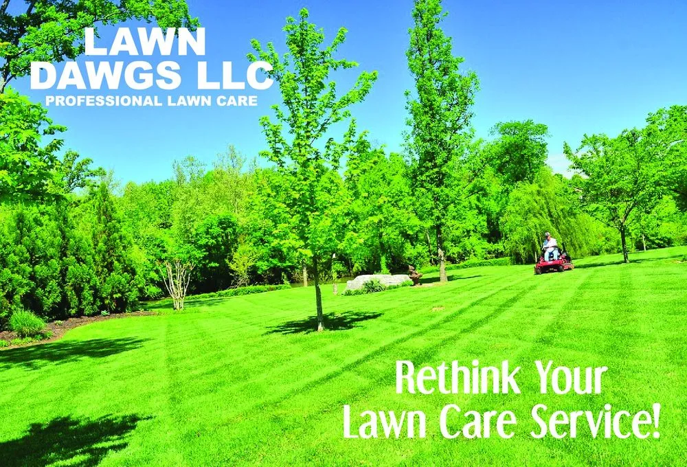 Reliable yard maintenance in Louisville, KY by Lawn Dawgs
