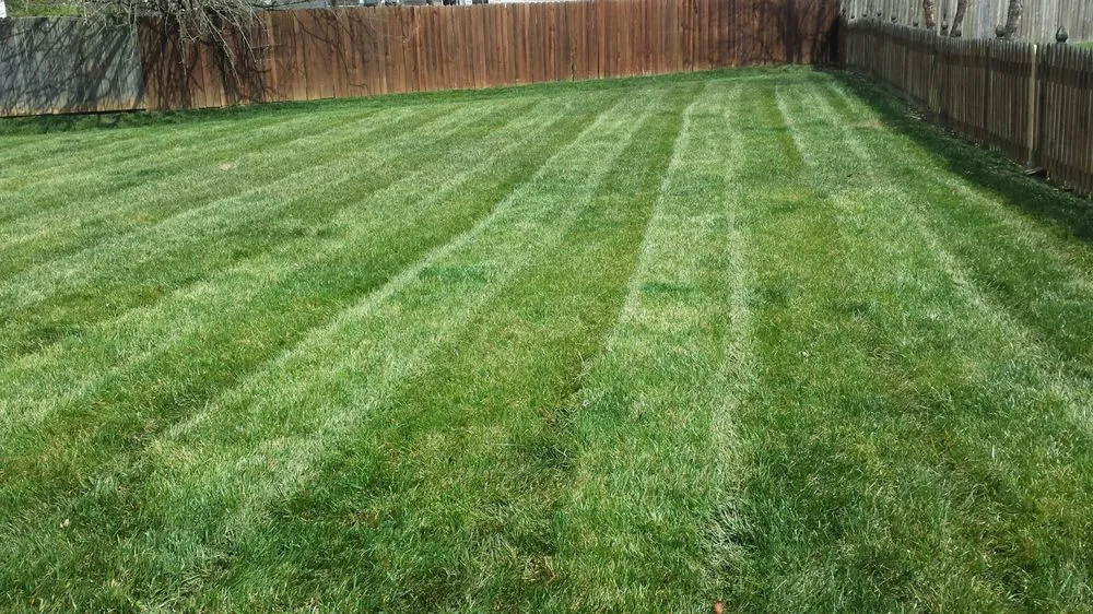 Expert residential landscaping with custom design in Louisville, KY by Lawn Dawgs