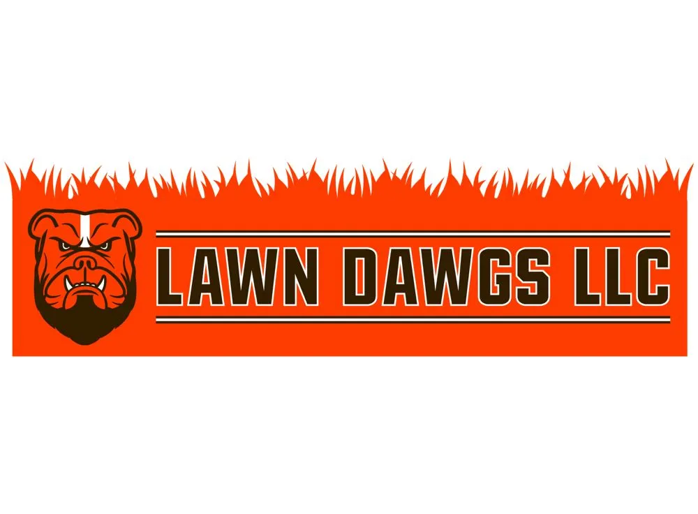 Custom yard cleanup service for year-round maintenance across Strasburg, OH - Lawn Dawgs