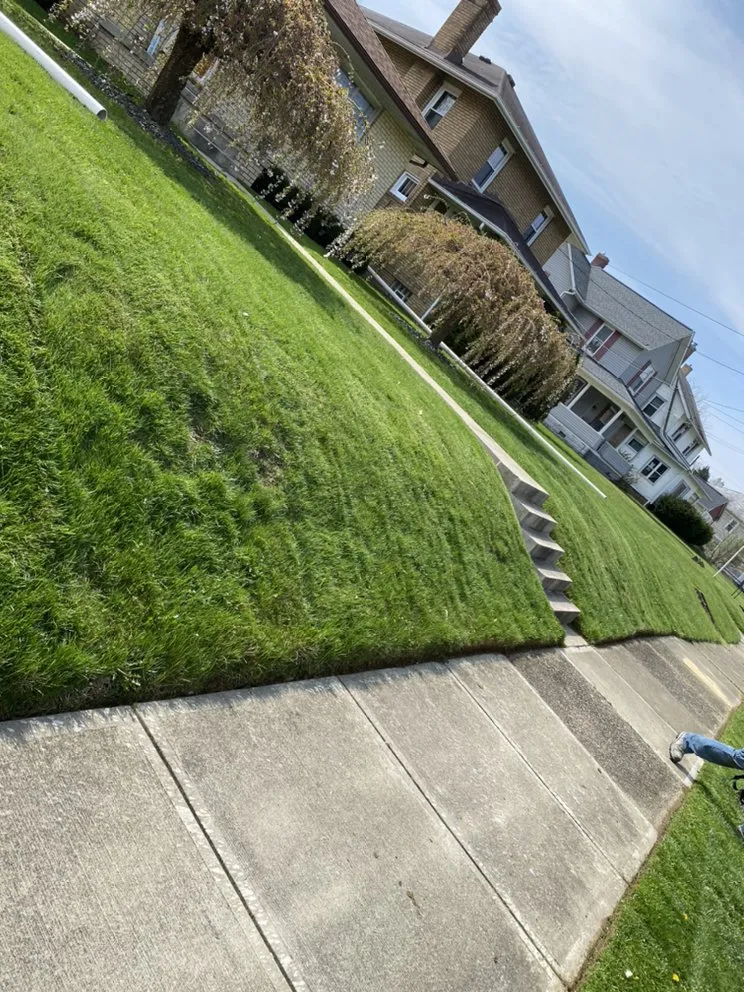 Top-rated residential landscaping near you across Strasburg, OH - Lawn Dawgs