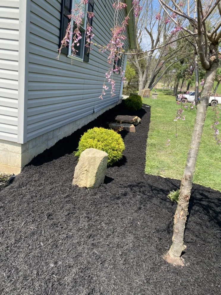 Top-rated lawn mowing service experts serving Strasburg, OH - Lawn Dawgs