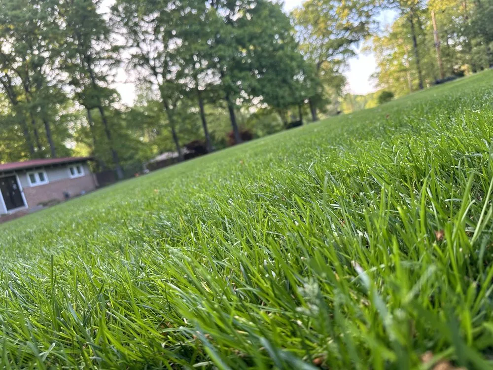 Reliable landscape design in High Point, NC by Lawn Delight