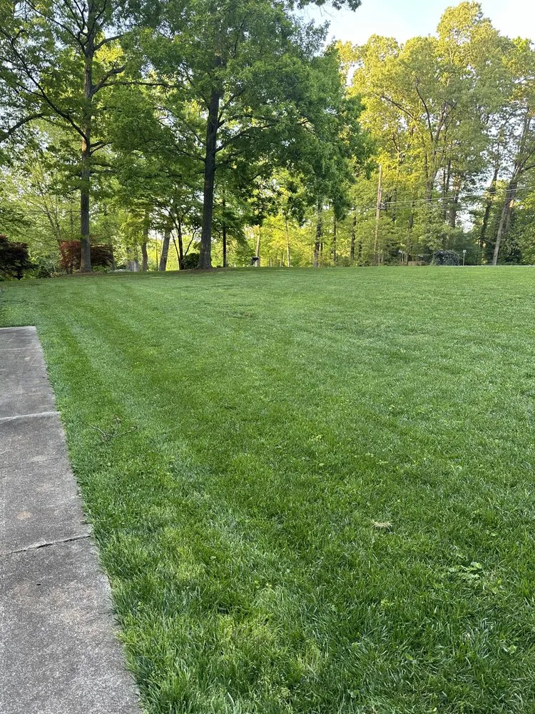 Custom lawn care service experts serving High Point, NC - Lawn Delight