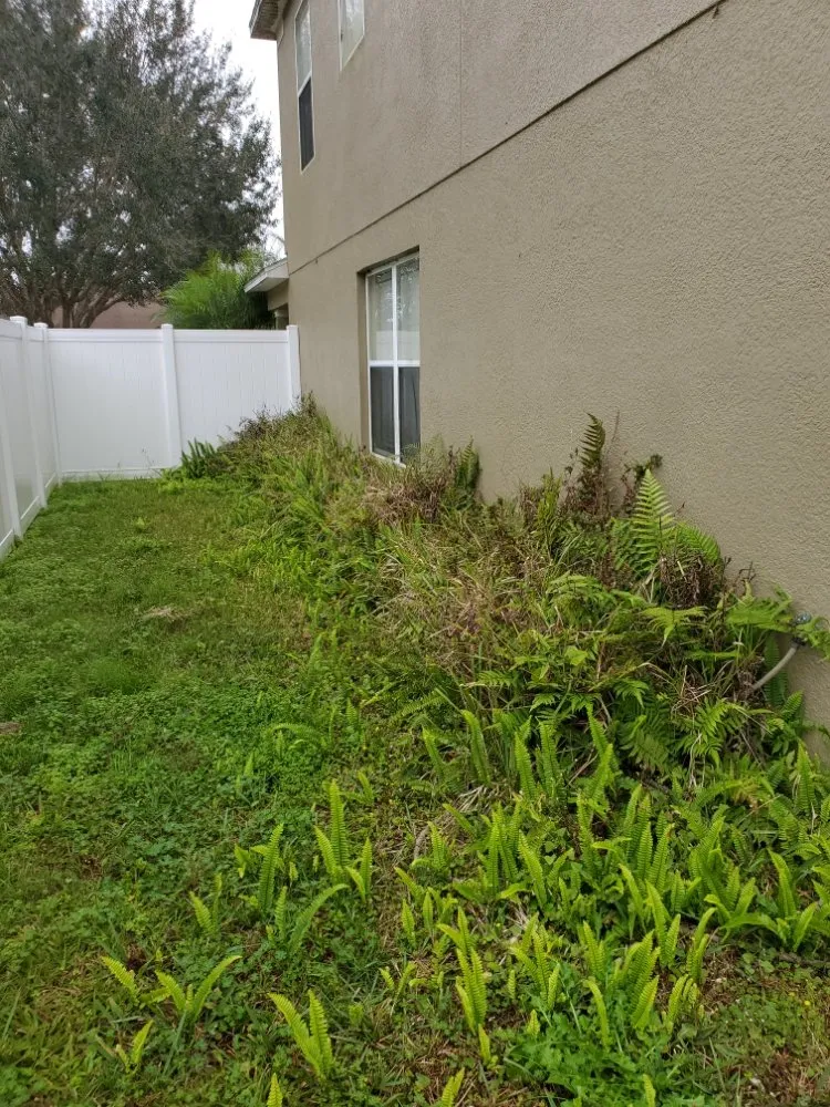 Custom lawn mowing service near you across Hudson, FL - Lawn Demon