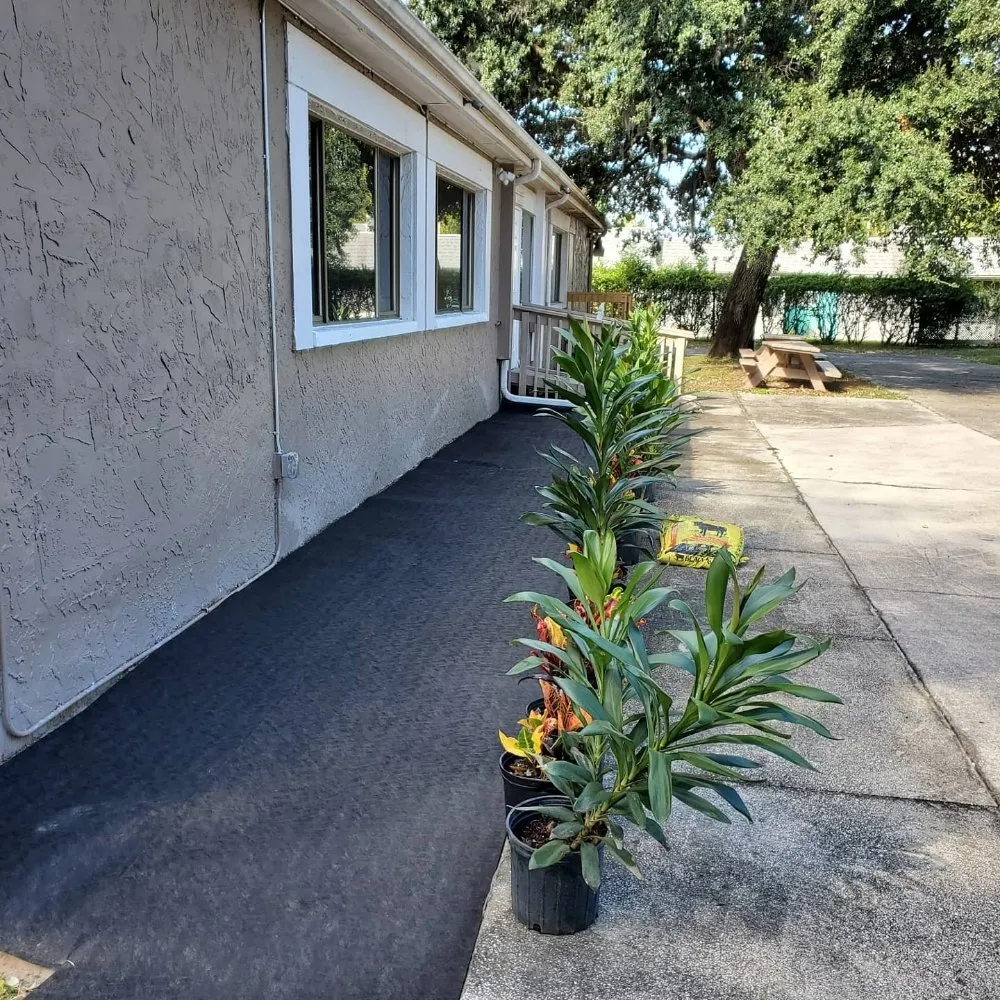 Trusted lawn mowing service in Hudson, FL - Lawn Demon