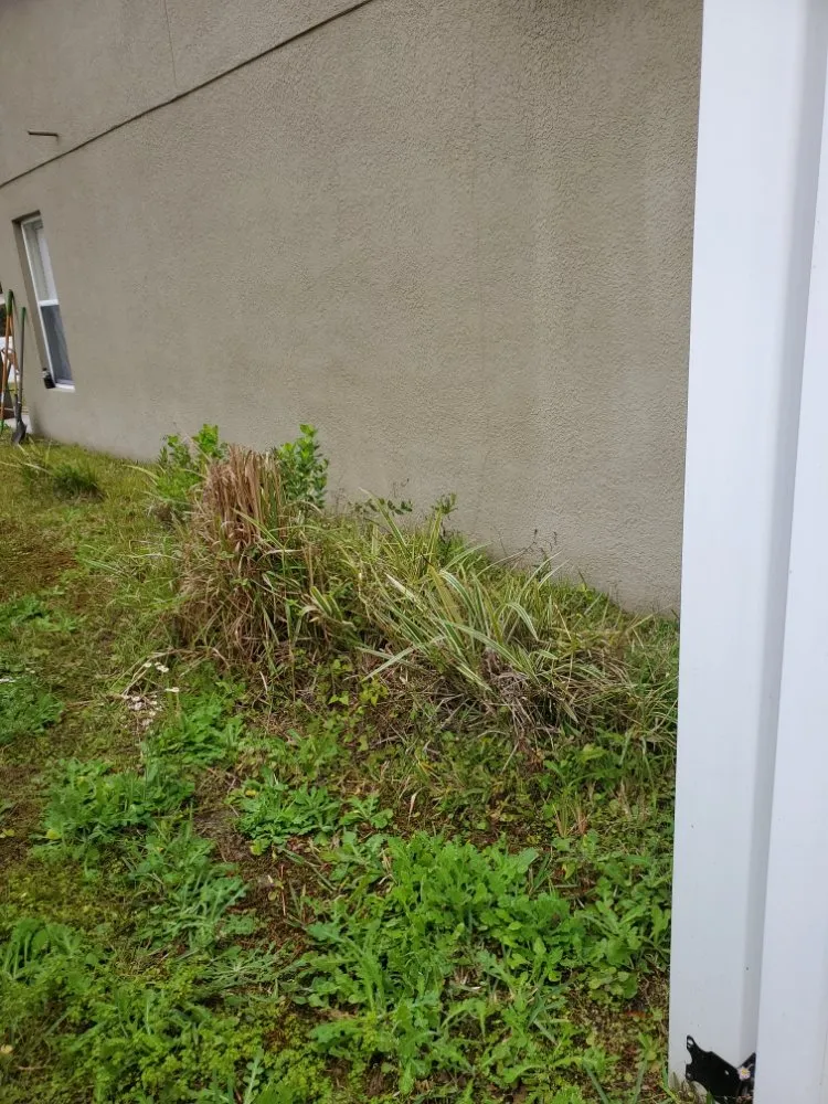 Top-rated landscaping services experts serving Hudson, FL - Lawn Demon