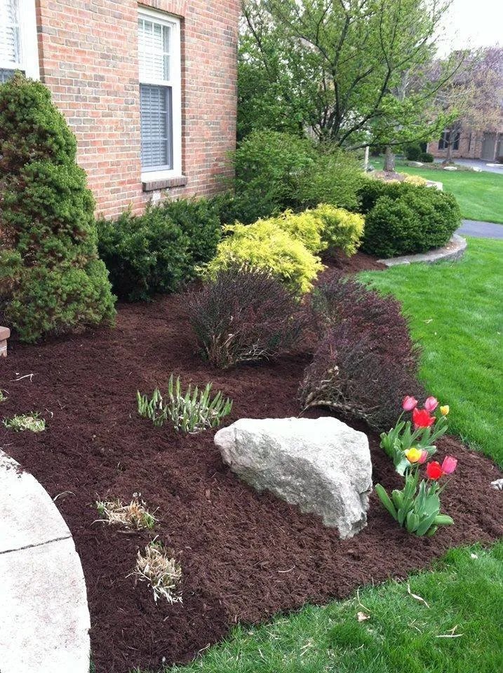 Expert yard cleanup service in Columbus, OH by Lawn Design & Landscape Services