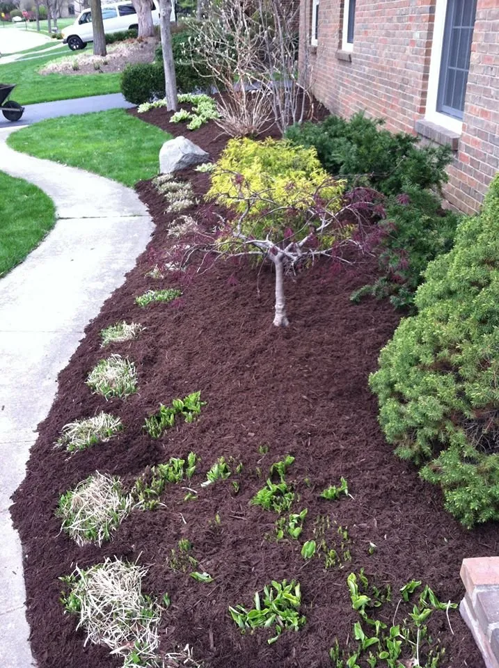 Local outdoor landscaping in Columbus, OH by Lawn Design & Landscape Services