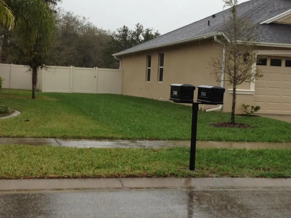 Reliable yard maintenance in Land O' Lakes, FL - Lawn Detectives