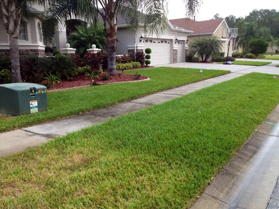 Trusted outdoor landscaping for beautiful yards in Land O' Lakes, FL by Lawn Detectives