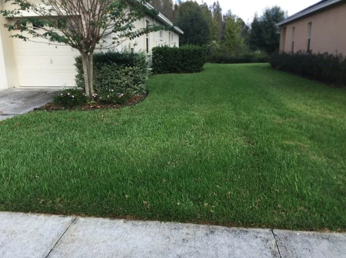 Professional landscape installation for residential properties across Land O' Lakes, FL - Lawn Detectives