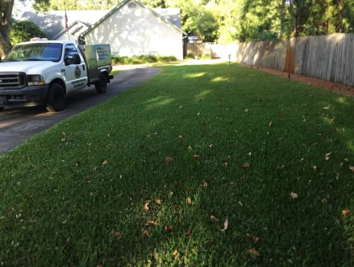 Expert lawn mowing service in Land O' Lakes, FL - Lawn Detectives
