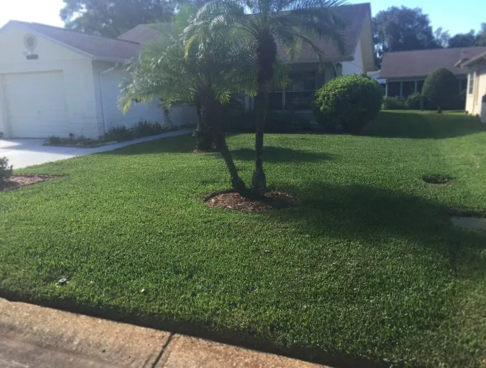 Local landscape design experts serving Land O' Lakes, FL - Lawn Detectives