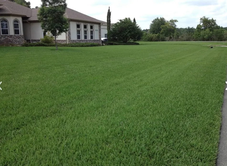 Affordable lawn mowing service in Land O' Lakes, FL by Lawn Detectives