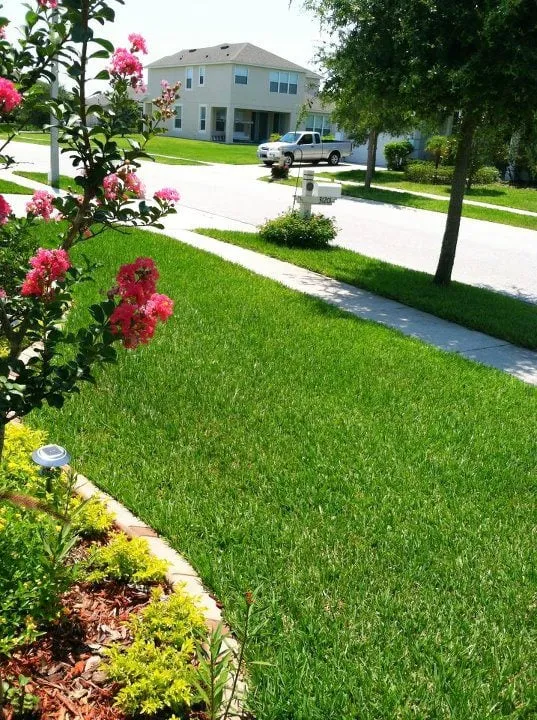 Local residential landscaping in Land O' Lakes, FL - Lawn Detectives