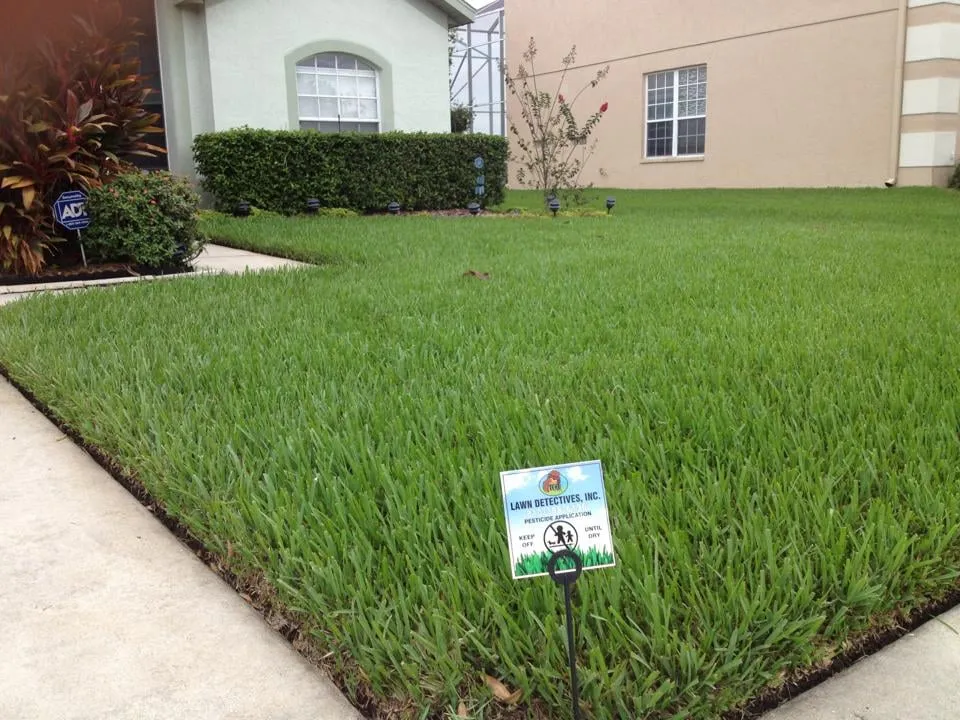 Expert residential landscaping for year-round maintenance across Land O' Lakes, FL - Lawn Detectives