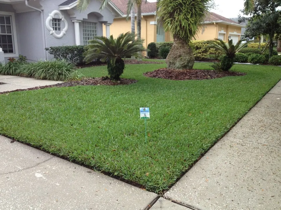 Local outdoor landscaping for homes across Land O' Lakes, FL - Lawn Detectives