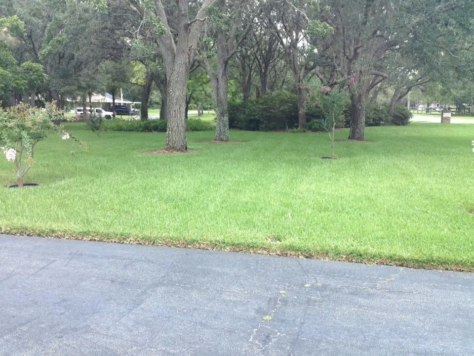 Professional lawn mowing service for homes in Land O' Lakes, FL by Lawn Detectives