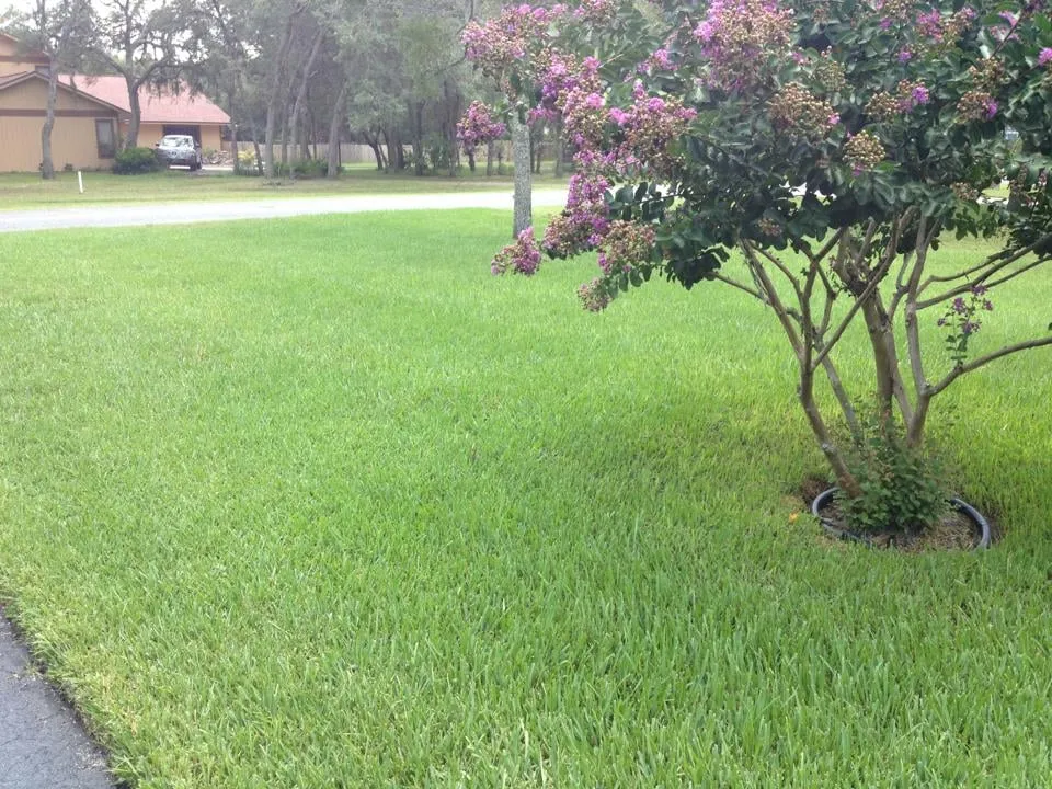 Affordable residential landscaping in Land O' Lakes, FL - Lawn Detectives