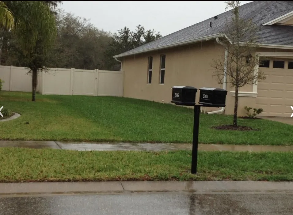 Top-rated landscaping services for year-round maintenance across Land O' Lakes, FL - Lawn Detectives