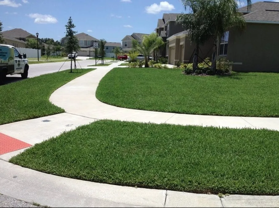Local yard cleanup service in Land O' Lakes, FL by Lawn Detectives