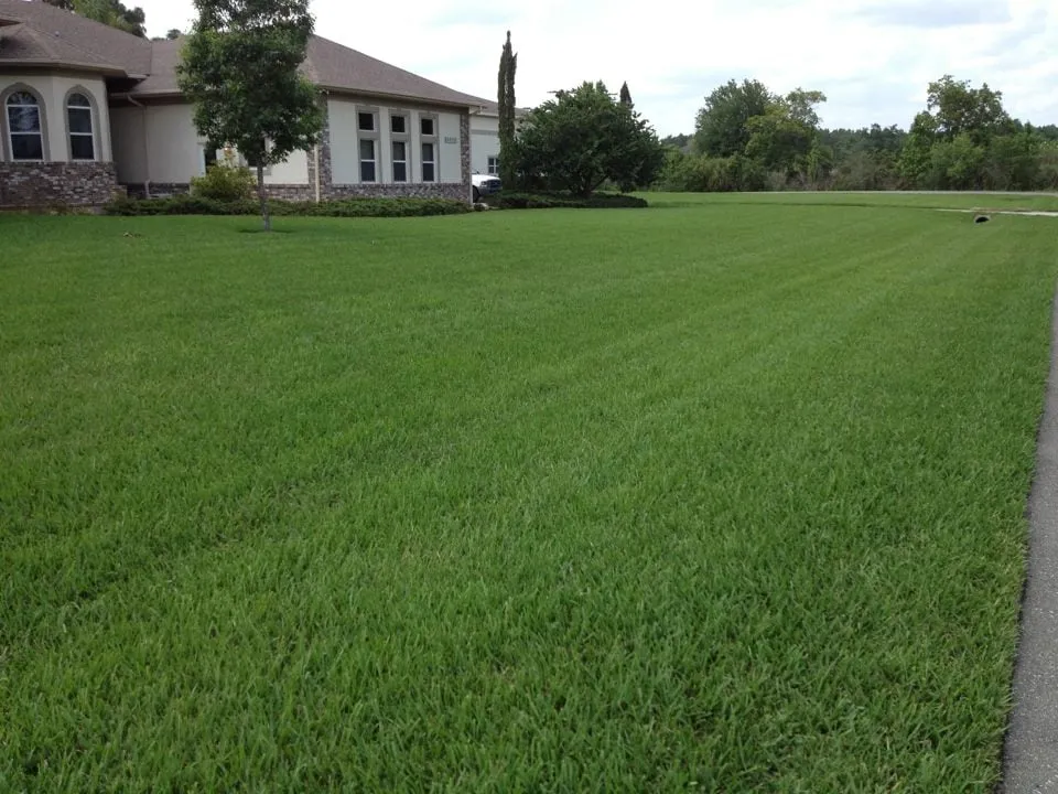 Reliable garden landscaping with custom design in Land O' Lakes, FL by Lawn Detectives