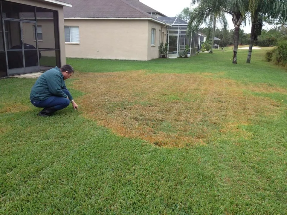 Trusted garden landscaping for residential properties in Land O' Lakes, FL by Lawn Detectives