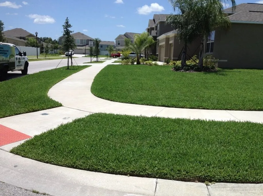 Custom residential landscaping experts serving Land O' Lakes, FL - Lawn Detectives
