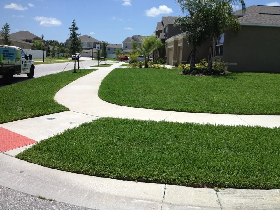 Reliable outdoor landscaping in Land O' Lakes, FL by Lawn Detectives