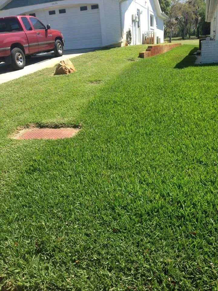 Expert landscaping services in Land O' Lakes, FL by Lawn Detectives