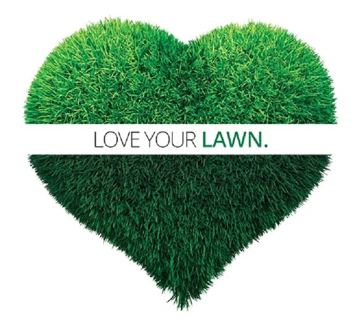 Affordable lawn mowing service for outdoor upgrades in Millersville, MD by Lawn Doctor - Annapolis